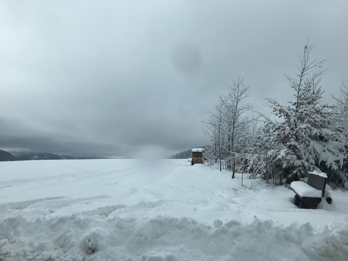 Hotel Sternen Lenzkirch Exteriör bild